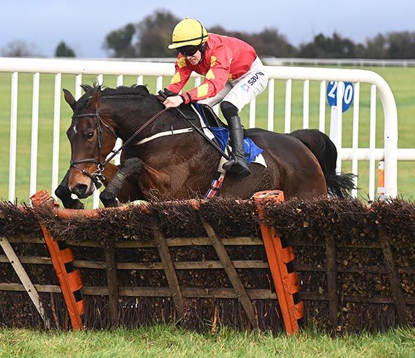 Mollys Glory gets low at the last