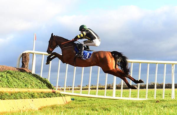 Rock and Barry O Neill win the Lorna Brooke Handicap Steeplechase Healy Racing 