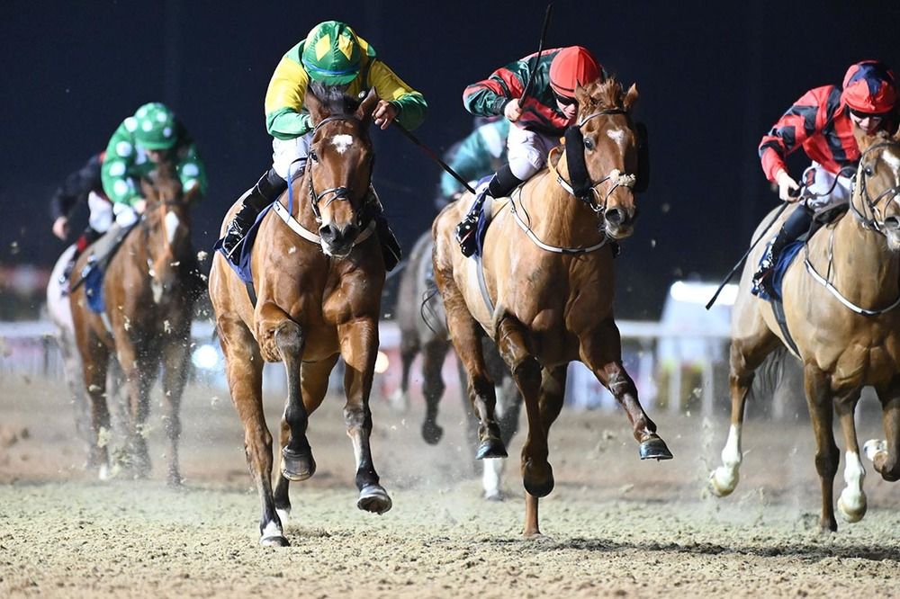 Spinning Web made the most of his lenient rating on the flat to win at Dundalk. 