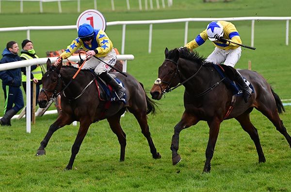 Yeats Star, far side, gets the job done