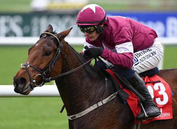 Punchestown 25-November-2023.Predators Gold and Paul Townend win CourtClinic.ie Chartered Physiotherapists Supporting Kilmacud Crokes GAA Maiden Hurdle for owners Gigginstown and trainer Willie Mullins.Healy Racing