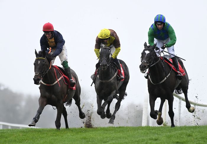 Fastorslow, Galopin Des Champs and Appreciate It at Punchestown last month