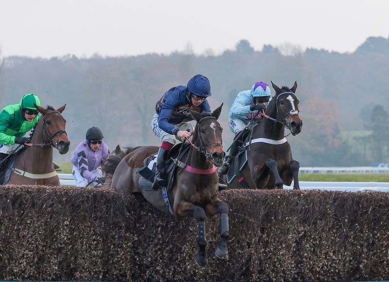 Djelo was a very impressive winner at Huntingdon 