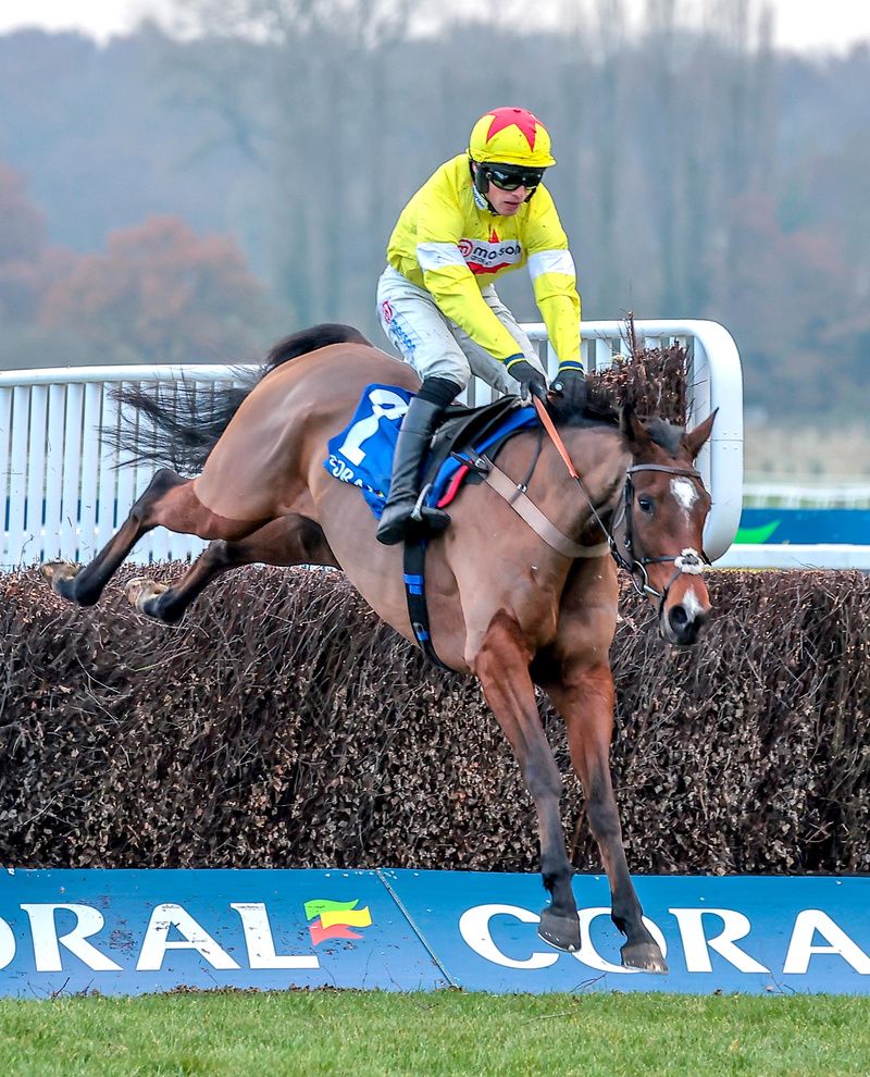 Hermes Allen will head the Paul Nicholls team at Kempton over Christmas 