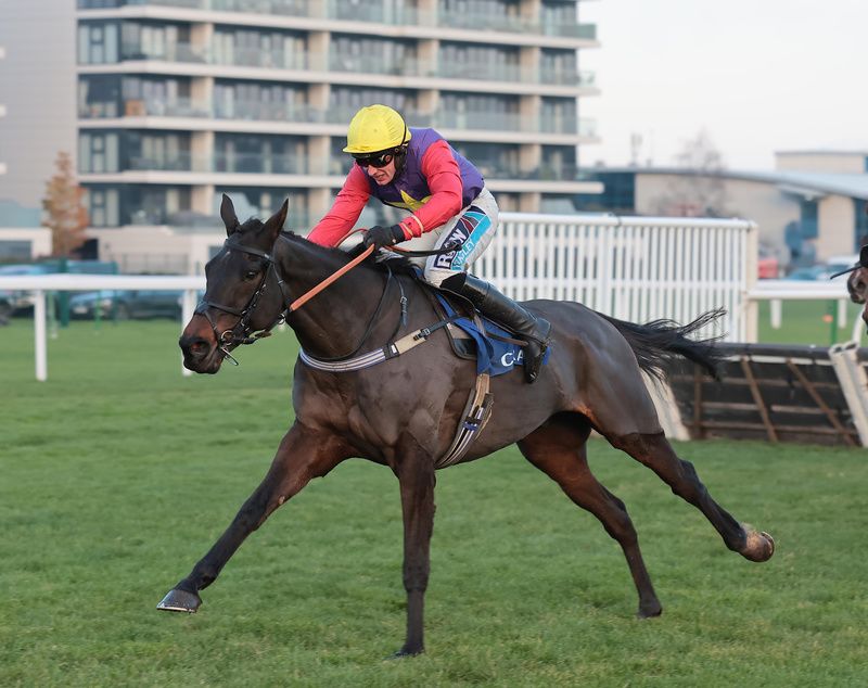 Dashel Drasher and Rex Dingle win for trainer Jeremy Scott The Coral Long Distance Hurdle