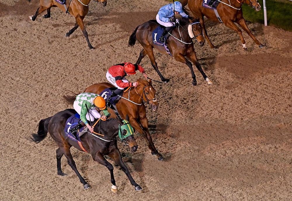 Inishmot Prince and James Ryan (nearest)