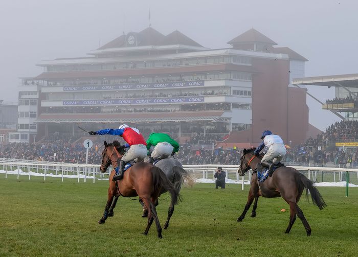 Brentford Hope (right) finishing third to Hansard and Bad at Newbury