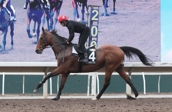 Luxembourg and Pa Murphy 