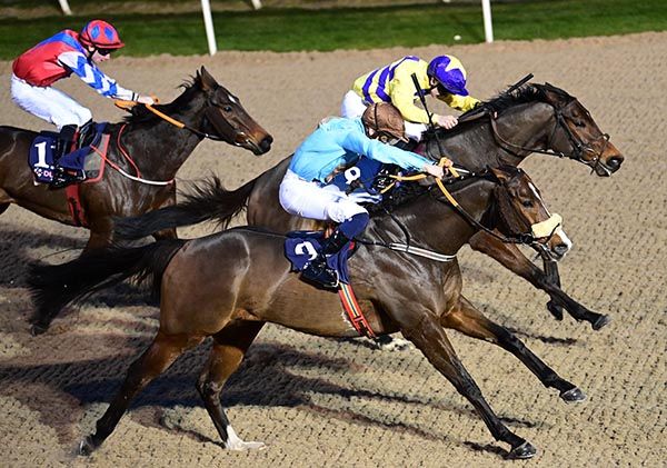 Notforalongtime (nearside) battles it out with Monzoon