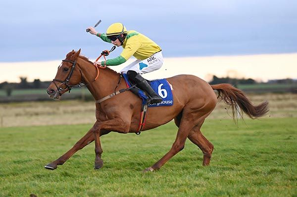 Miss Mini Bee is ridden out by Alex Harvey