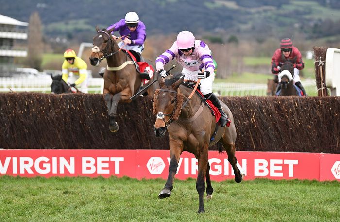 Fugitif and Gavin Sheehan jumping the final fence behind Il Ridoto 