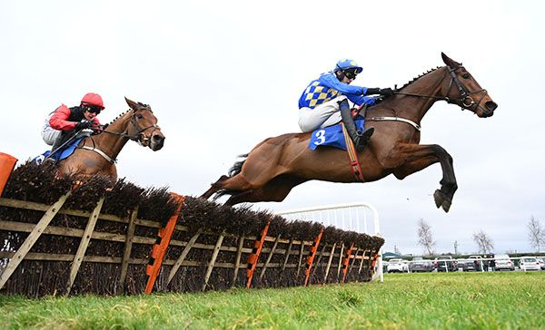 Asian Master and Thomas Costello winning at Thurles