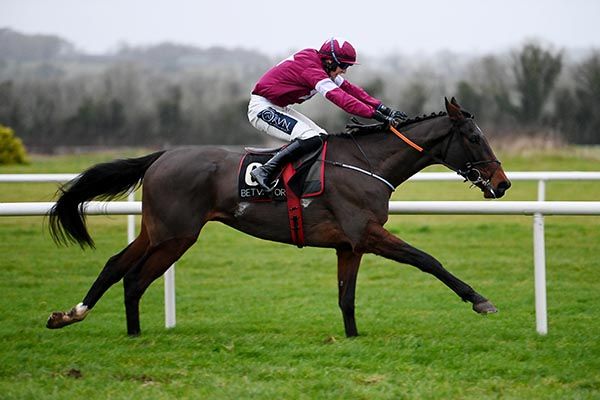 The Enabler looks a potentially exciting long term prospect for trainer Gordon Elliott. 