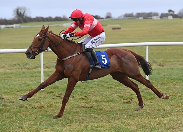 Femme Magnifique looked a nice mare when stretching clear of rivals in Thurles bumper. 