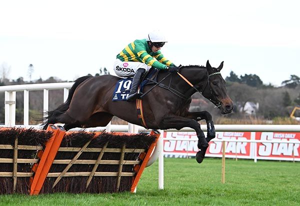 A lovely shot of No Flies On Him and Mark Walsh