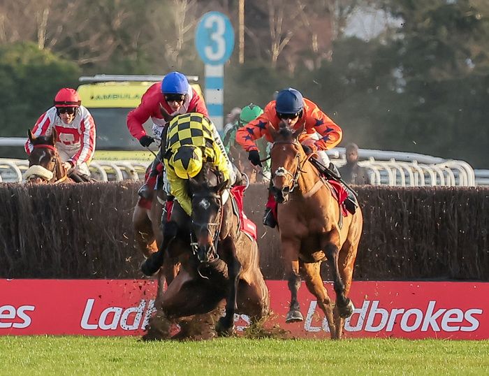 Shishkin and Nico de Boinville part company at Kempton