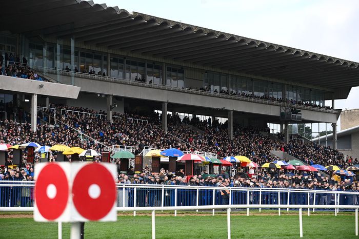 Packed stands at Leopardstown