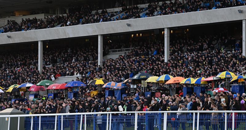 Leopardstown stage the fourth day of their Christmas Festival on Friday afternoon. 
