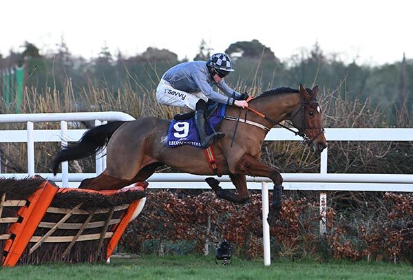 Champagne Admiral and Michael O Sullivan win the Timeless Sash Windows Irish EBF Novice Handicap Hurdle Healy Racing 