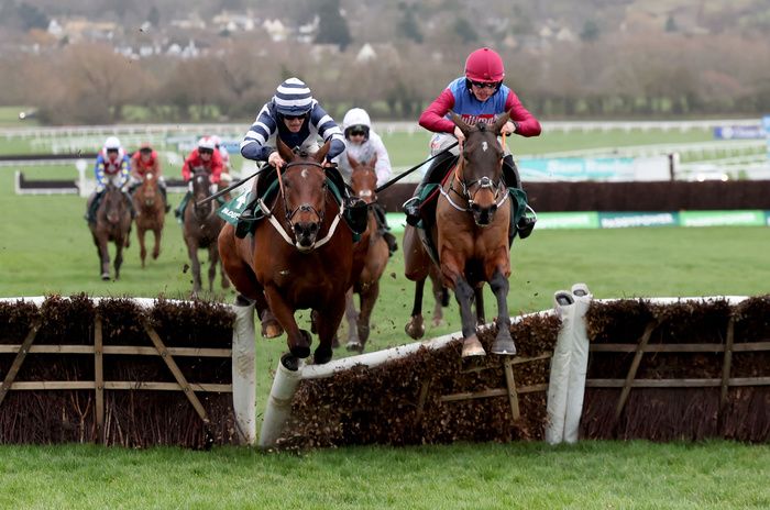 Champagne Twist, right