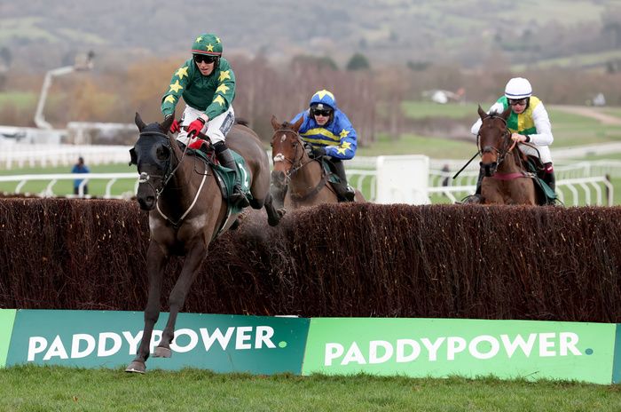 Stumptown in winning action at Cheltenham