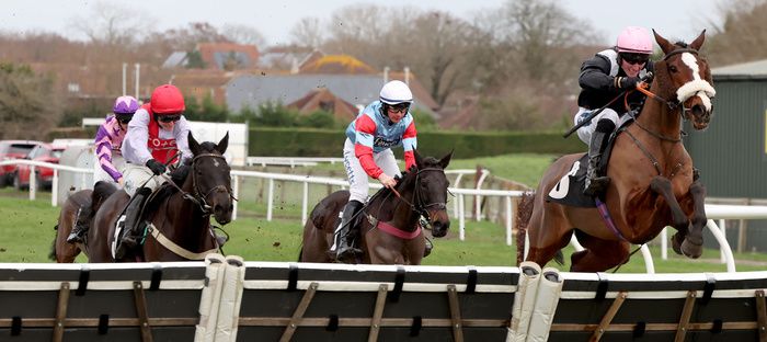Joe Anderson drives Transmission home to win The BetGoodwin Sussex Stayers Handicap Hurdle