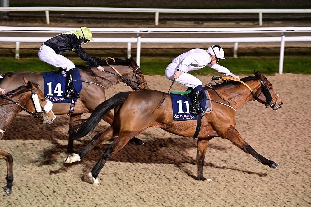 Gatsby Cap and Nathan Crosse beat Tara Power