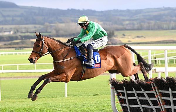 Lisnagar Fortune bids to win his third race at Punchestown. 