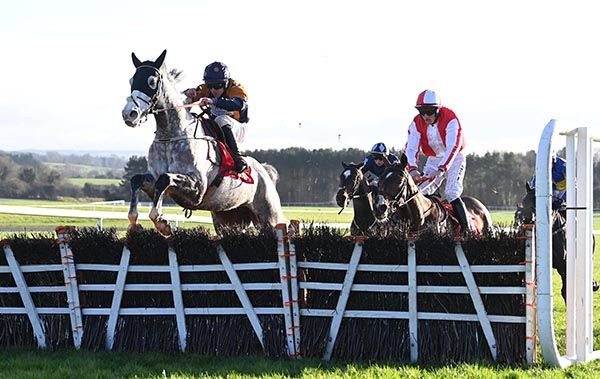 Grey horse Silver King makes the breakthrough