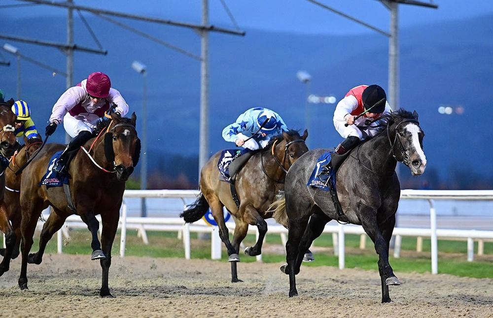 Havana Notion and Hugh Horgan