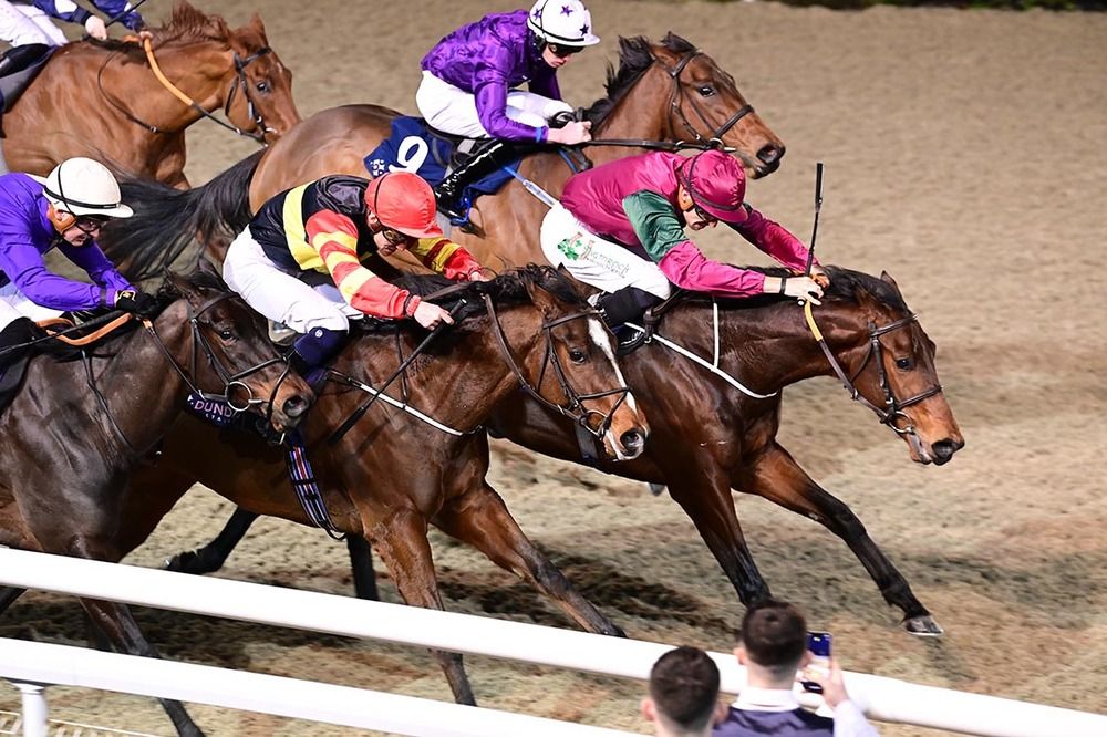 Perfect Judgement (right) and Cian MacRedmond