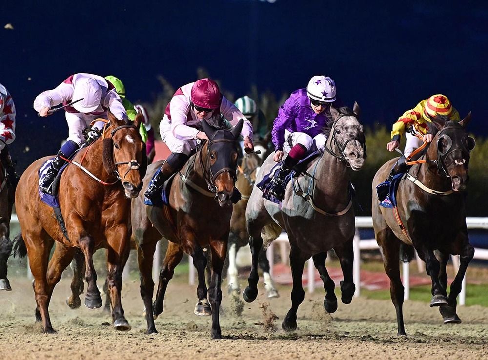 Gains Of War and Nathan Crosse (left) win from Folly Beach, Alex The Great and Hammersmith