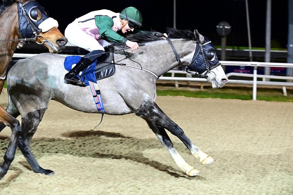 Chavajod and Paddy Harnett