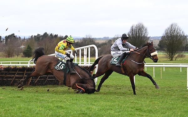 Butty O Brien is left clear by the fall of Chosen Diamond at the last