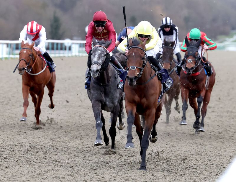Oh So Grand and Jack Mitchell winning at Lingfield