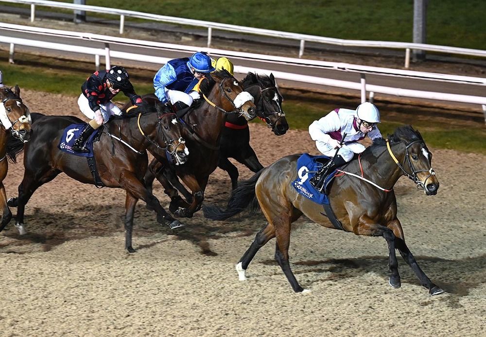 Roman Palace and Declan McDonogh