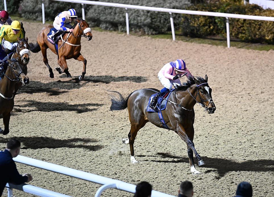Bergamasco and Ronan Whelan