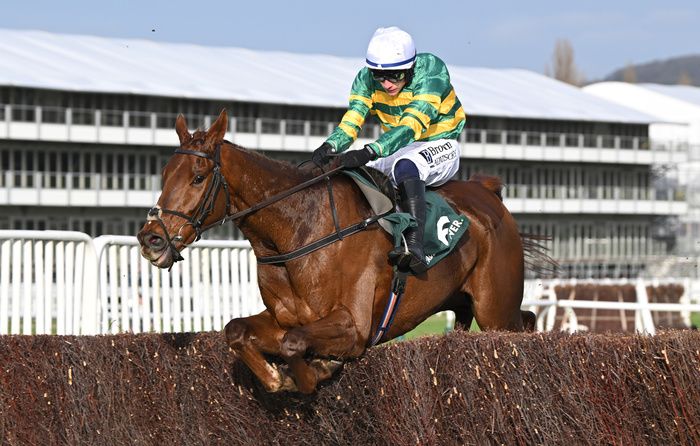 Cheltenham 27-January-2024Capodanno and Paul Townend win for owner JP McManus and trainer Willie Mullins.Healy Racing
