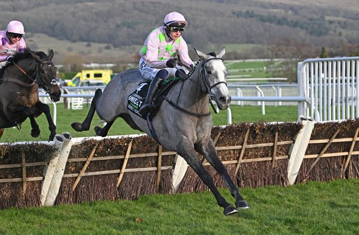 Cheltenham 27 January 2024 Lossiemouth and Paul Townend win for trainer Willie Mullins