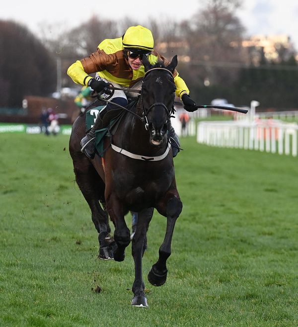 Galopin Des Champs winning at Leopardstown on 3 Feb 2024