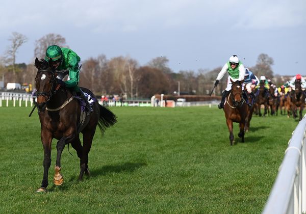 Brucio leads them home in Foxrock