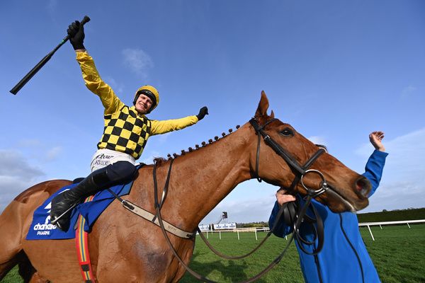 Leopardstown 4 February 2024 State Man and Paul Townend after their Irish Champion Hurdle win Healy Racing
