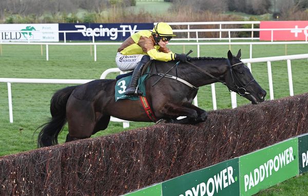 cheltenham betting offers and free bets