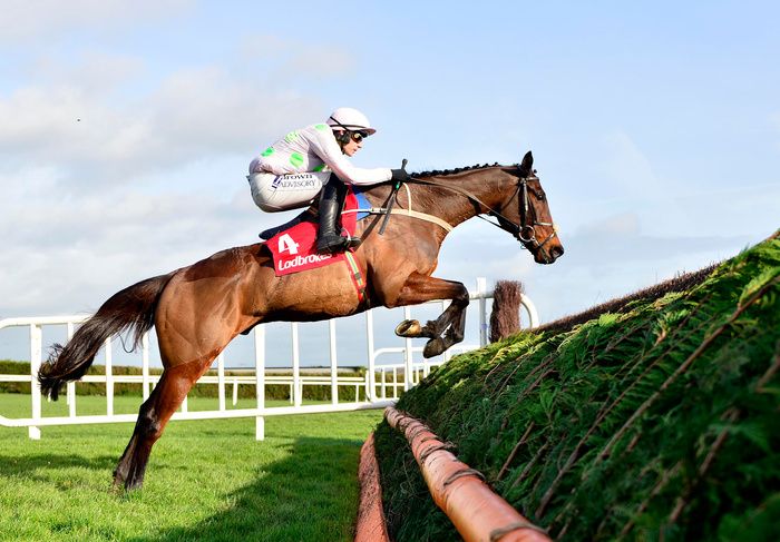 Leopardstown 4-February-2024. Gaelic Warrior and Paul Townend.Healy Racing