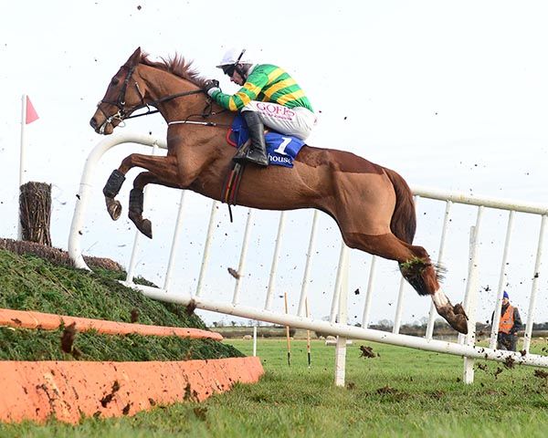Fairyhouse 7-2-24 Corbetts Cross and Derek O'Connor fly a fence before being brought down in the Fairyhouse rated Steeplechase(Healy Racing)
