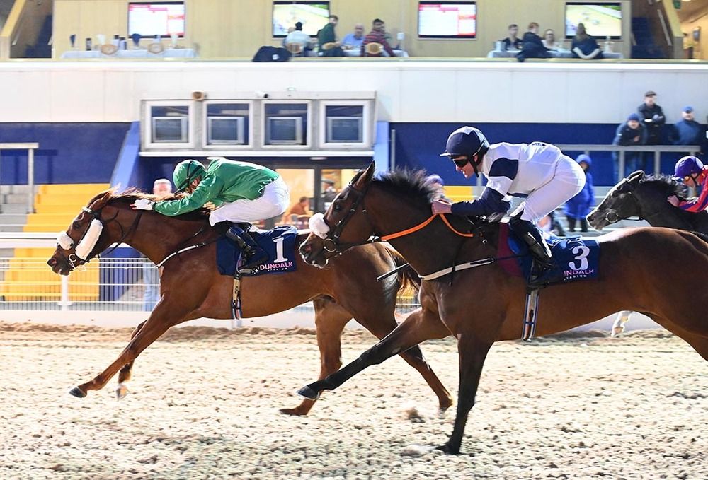 Take Me To Church (Ronan Whelan) beating Sir Sagacious 