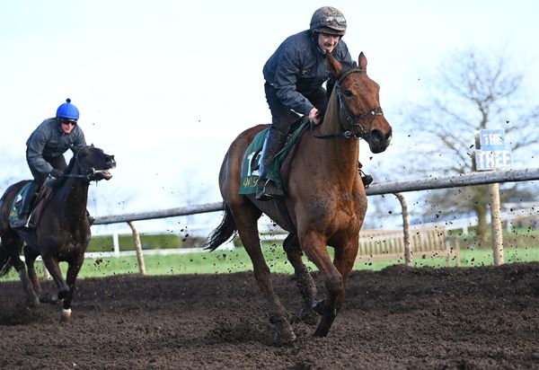 Ballyburn and Donal Redmond at Closutton Stables