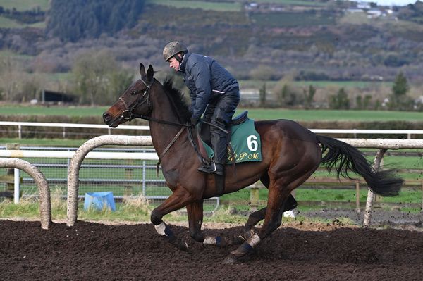 Embassy Gardens and Dick Dowling on the Closutton gallops