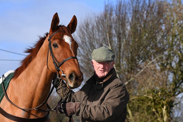 Willie Mullins and State Man 