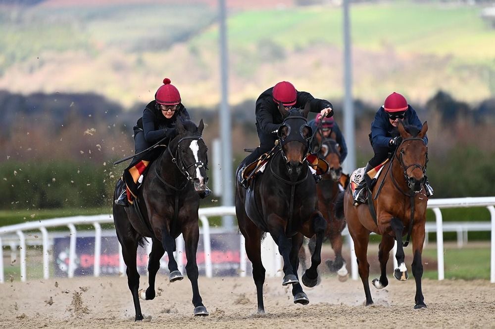 Auguste Rodin and Rachael Richardson, left, working with Henry Adams (Wayne Lordan) and Navy Seal (Dean Gallagher)